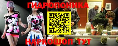 гидра Тверь